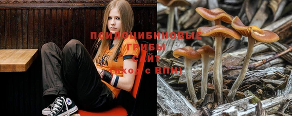 гашиш Абинск