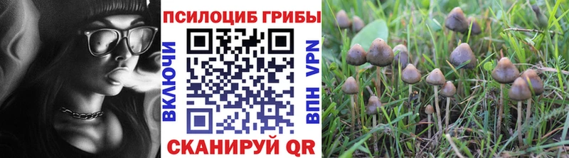 дарк нет состав  Сальск  Галлюциногенные грибы Psilocybine cubensis  наркота 