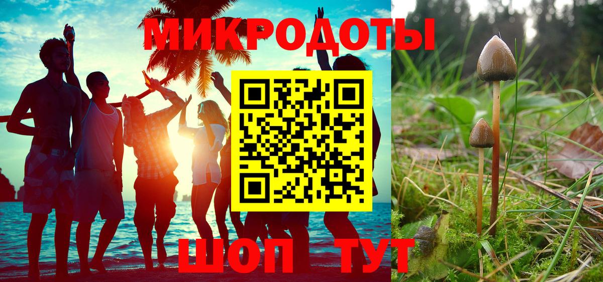 цены   Вход с VPN  Сальск  Псилоцибиновые грибы Cubensis  Галлюциногенные грибы Psilocybe 