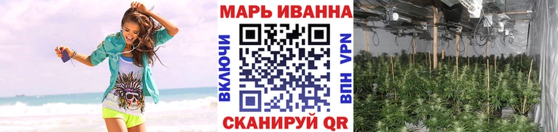 сколько стоит  Сальск  ОМГ ОМГ зеркало  Конопля ГИДРОПОН 
